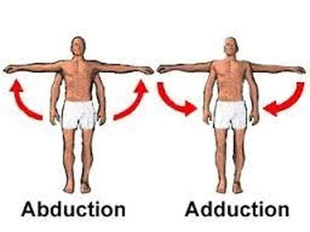 what is abduction movement|muscles involved in arm abduction.